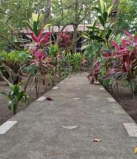 Tortuguero Bed & Breakfast | Gecko de Tortuguero