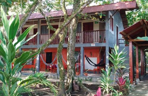 Tortuguero Bed & Breakfast | Gecko de Tortuguero
