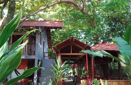 Tortuguero Bed & Breakfast | Gecko de Tortuguero