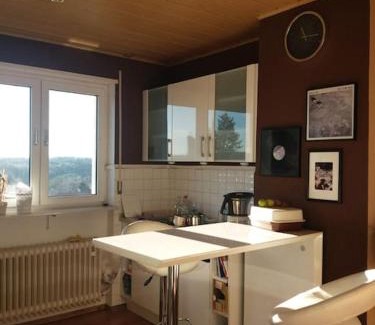 Kaiserslautern Apartment | Gemütliche, helle Wohnung im Luftkurort Dansenberg