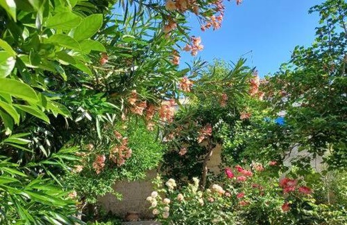 Palazzolo Acreide Historic Centre House | Giardino al Corso