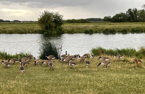Littleport House | Gilead Grace House