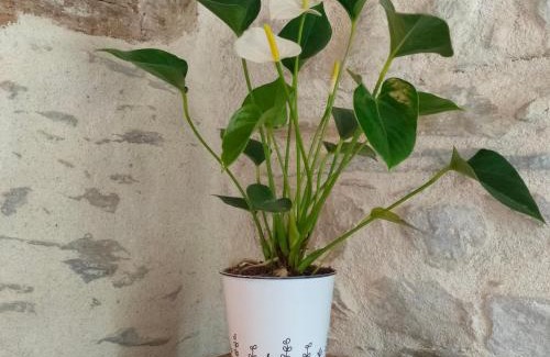 Guipry-Messac House | Gite de charme à Guipry Messac