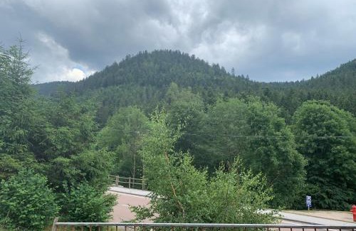 La Bresse House | Gite de L'ours
