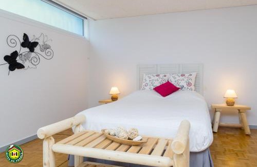 Centre Ville Apartment | GITE PASQUIER