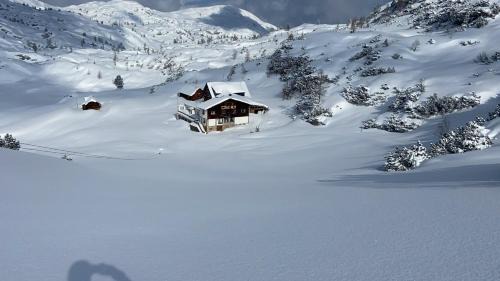 Obertraun Hotel | Gjaid-Alm 1739m am Dachstein-Only Accessible by Cable Car