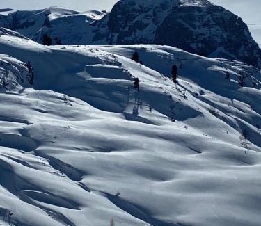 Obertraun Hotel | Gjaid-Alm 1739m am Dachstein-Only Accessible by Cable Car