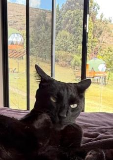 Guatavita Other | Glamping Brillo de Luna