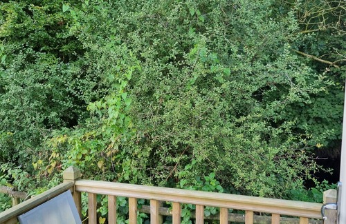 Llanfair Caereinion House | Glamping Hut - Riverview 4