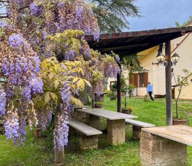 Palaia Other | Glamping in Tuscany