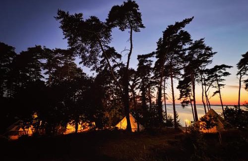 Luetow Other | Glamping Lodges Red Woods Usedom