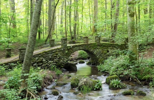 Bryson City RV Rental | Glamping on the river front