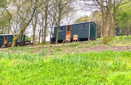 Holt Cabin | Glamping Shepherds Hut in Holt Hollow, Rural North Norfolk, Dog Friendly