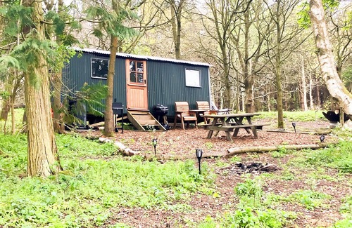 Holt Cabin | Glamping Shepherds Hut in Holt Hollow, Rural North Norfolk, Dog Friendly