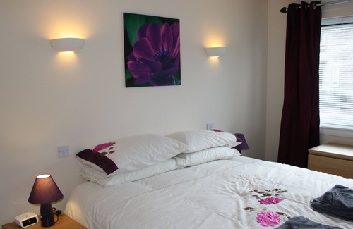East End Apartment | Glasgow Green Apartments Flat on the Green 4