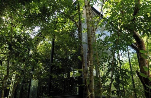 Puerto Morelos Cottage | Glass House #3 at Glass 20.87