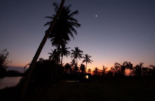 Siddhartha Nagar Other | Golden Triangle River side Cabin