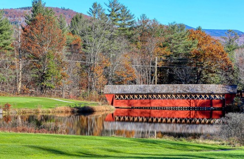 Woodstock Apartment | Golf Course View Studio w/ Fast WiFi plus Shared Pools, Hot Tub, & Game Room