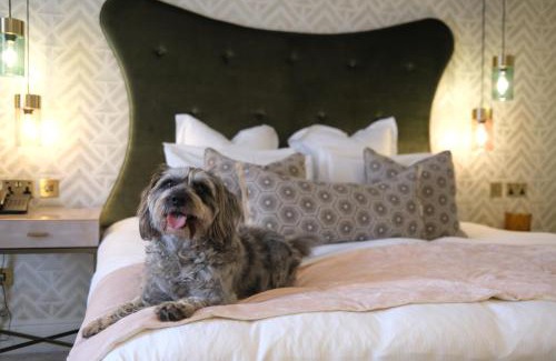 Cambridge Hotel | Gonville Hotel