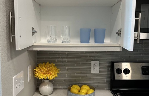 Fort Worth Apartment | Good Vibes | Luxury Getaway | Fort worth