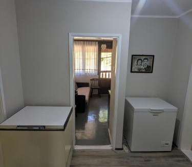 Central Serbia Apartment | Gordana