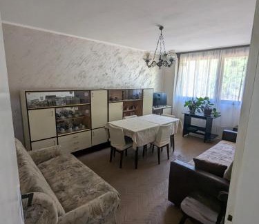 Central Serbia Apartment | Gordana