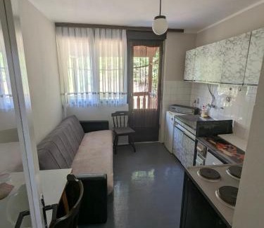 Central Serbia Apartment | Gordana