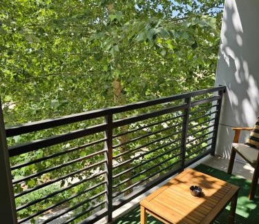 Downtown San Antonio Apartment | Gorgeous Condo w Riverwalk Views Free Parking Pet Friendly Centrally Located on the Riverwalk