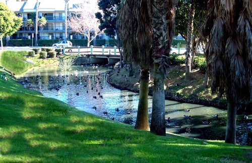 Port Hueneme Condo | Gorgeous Decorator Beach Condo - one facility entrance on the Beach