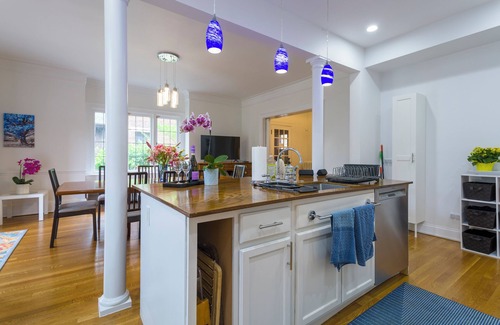 Hyde Park House | Gorgeous historic mansion on UChicago campus. Renovation with original detail.