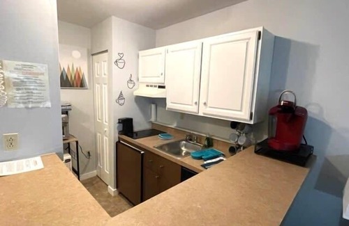 Hancock Apartment | Gorgeous Mountain View Suite Ski On/Off At Jiminy - Fully Redone Decor