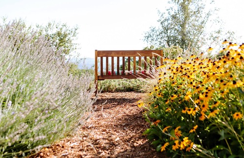 Vichy Springs House | Gorgeous, Private Napa Valley Estate, Beautiful Views