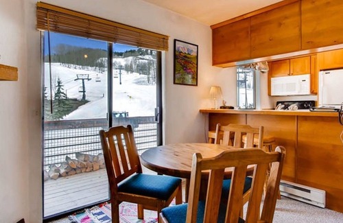 Crested Butte Condo | Gorgeous Ski-in/Ski-out Condo | Hot Tub Access!