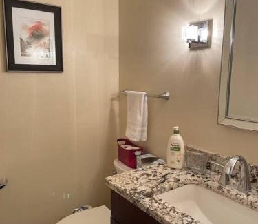 Williamsville House | Gorgeous Williamsville Home in Central Location