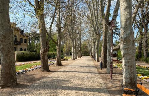 Siofok Aranypart Hotel | Gosztonyi Villa