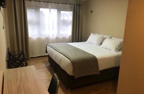 Puerto Aysen Hotel | Gran Hotel Aysen