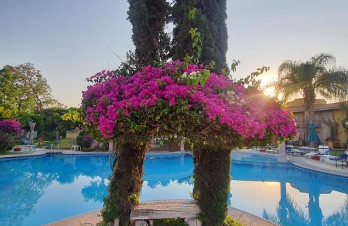 La Salud Hotel | Gran Hotel Hacienda De La Noria