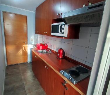 Downtown Santiago Apartment | Gran Santiago Apart ESTUDIO 1 AMBIENTE