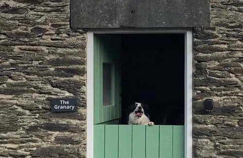 Bryn-crug House | Granary Retreat for 2 inc shared Dog Field