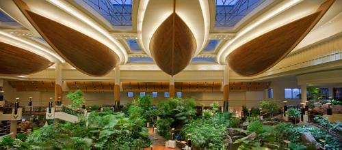 Bur Dubai Hotel | Grand Hyatt Dubai
