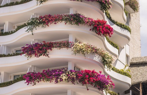 Conchas Chinas Apartment | Grand Miramar All Luxury Suites & Residences
