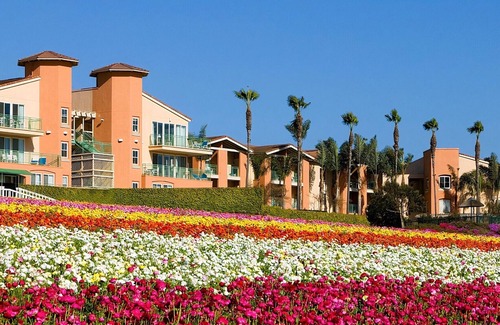 Carlsbad Resort | Grand Pacific Palisades - 2 Bedroom - Sleeps 6. Next to Carlsbad Legoland