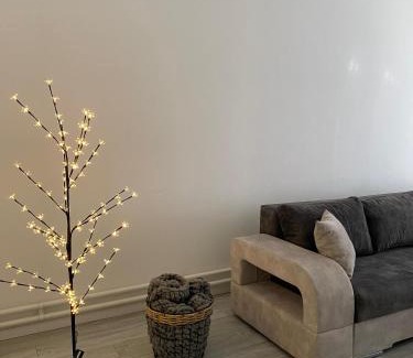 Vracar Apartment | Grand Royal