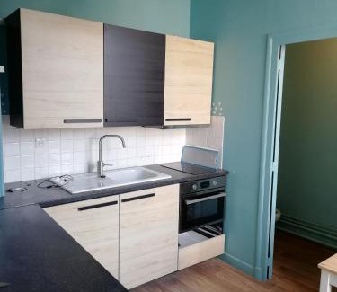 Vieux Vichy Apartment | Grand studio centre historique