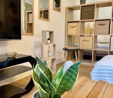 Auxerre Apartment | Grand studio Ô Joie