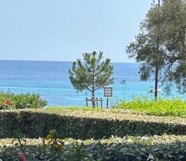 Ajaccio Apartment | Grand studio rte des sanguinaires Superbe vue Mer