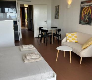Ajaccio Apartment | Grand studio rte des sanguinaires Superbe vue Mer