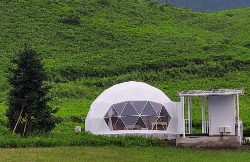 Beppu Other | GRAND VERDE RESORT