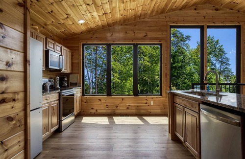 Pittman Center Cabin | Grand Vista View- Breathtaking Views, FREE tickets each paid day, Hot Tub, WIFI!