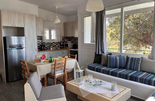 Agios Romanos House | Grandpa Simos' Traditional Guest House (Α)